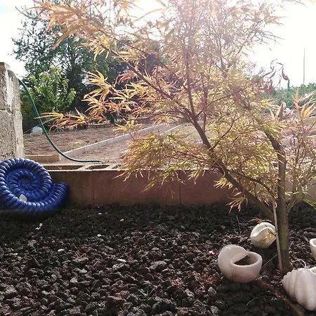 Homestay Lenas Ferienzimmer Biebelnheim
